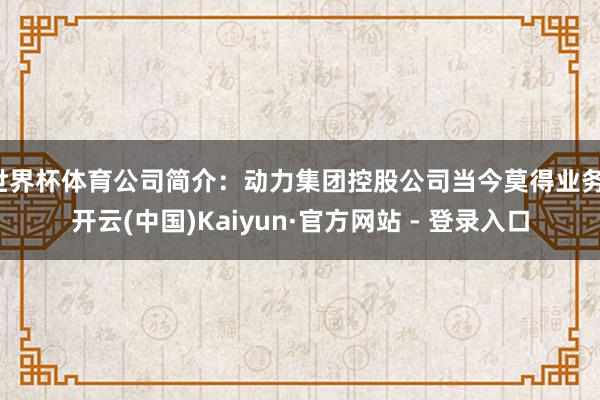 世界杯体育公司简介：动力集团控股公司当今莫得业务-开云(中国)Kaiyun·官方网站 - 登录入口