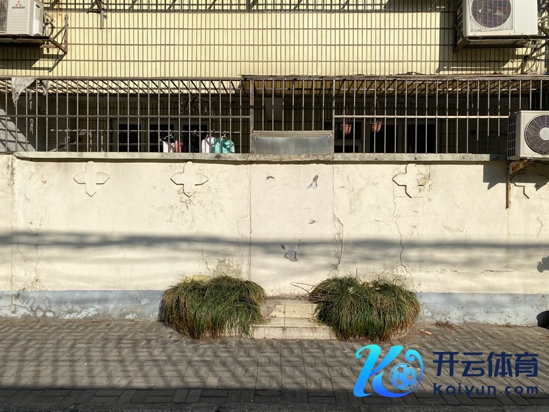 上海利西路“托马森”   影相/佟鑫