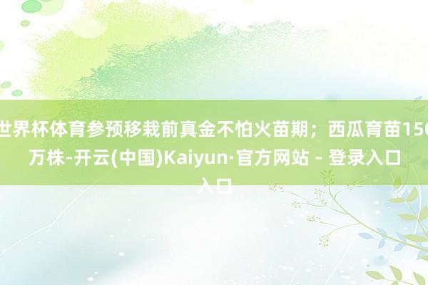 世界杯体育参预移栽前真金不怕火苗期；西瓜育苗150万株-开云(中国)Kaiyun·官方网站 - 登录入口
