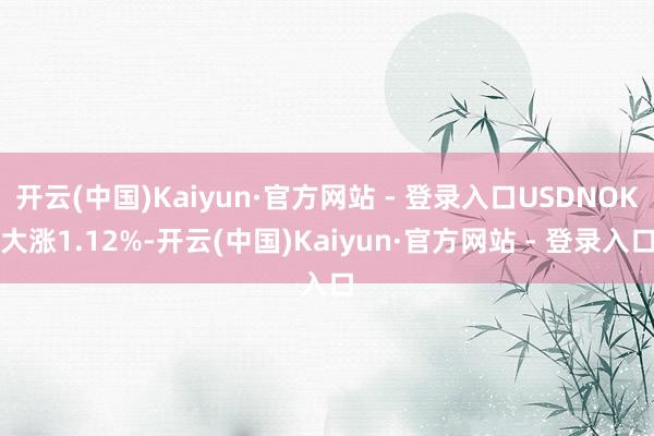 开云(中国)Kaiyun·官方网站 - 登录入口USDNOK大涨1.12%-开云(中国)Kaiyun·官方网站 - 登录入口