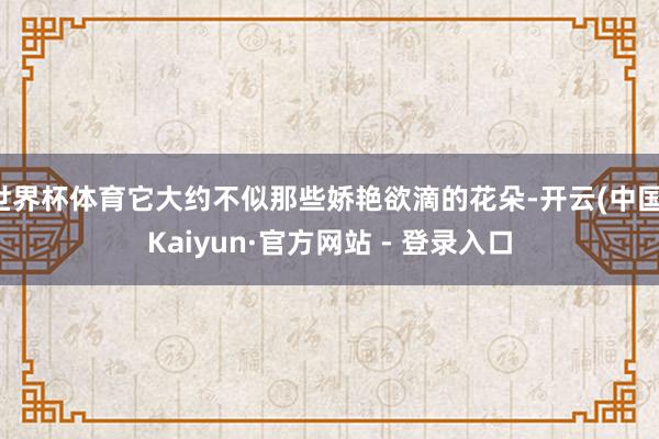 世界杯体育它大约不似那些娇艳欲滴的花朵-开云(中国)Kaiyun·官方网站 - 登录入口